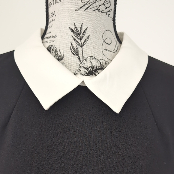 Elegant Black and White Women's Dress - Picture 3 of 7